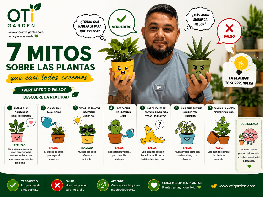 🤯 7 mitos sobre las plantas que casi todos creemos