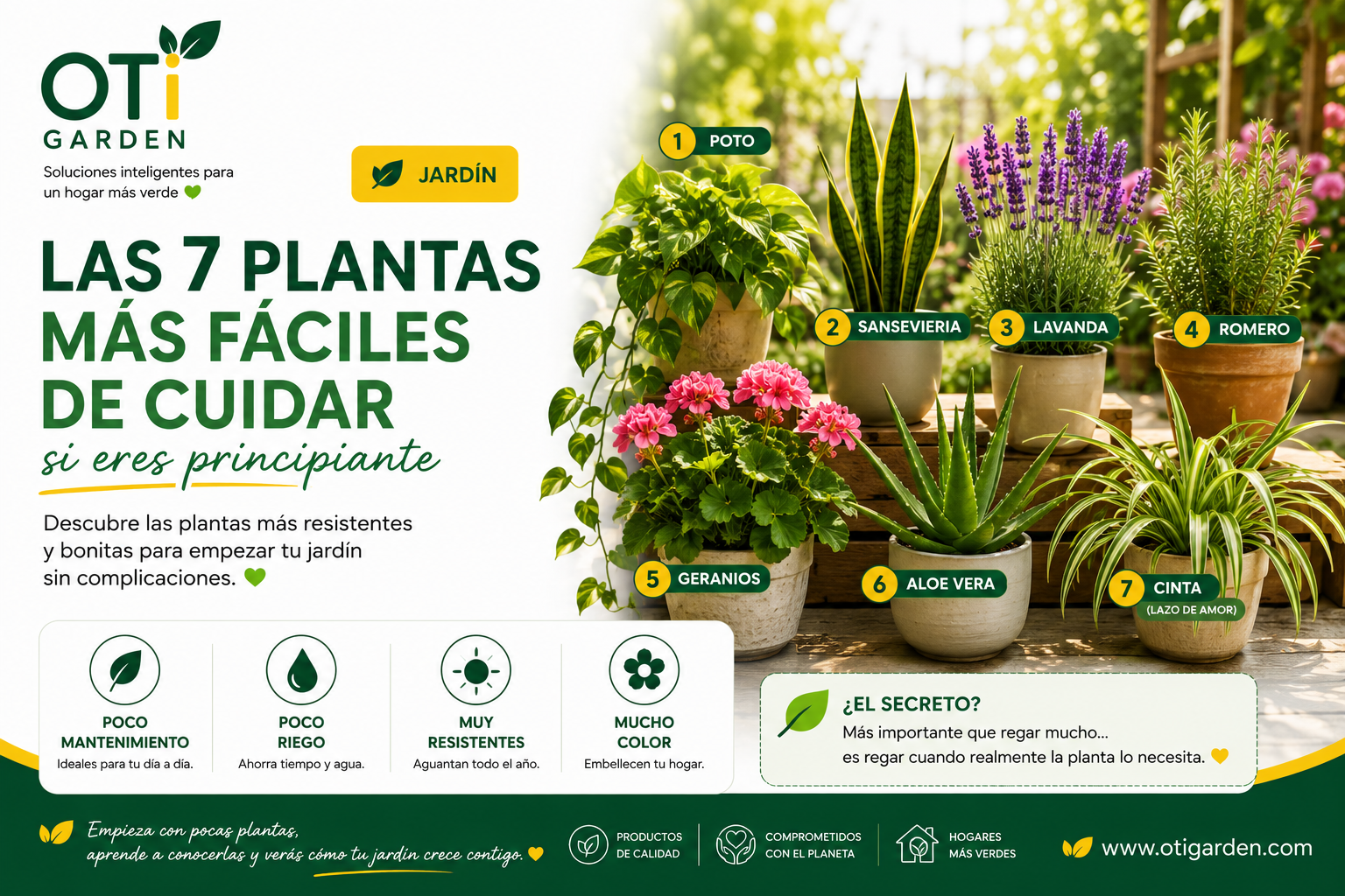 🌸 Las 7 plantas más fáciles de cuidar si eres principiante