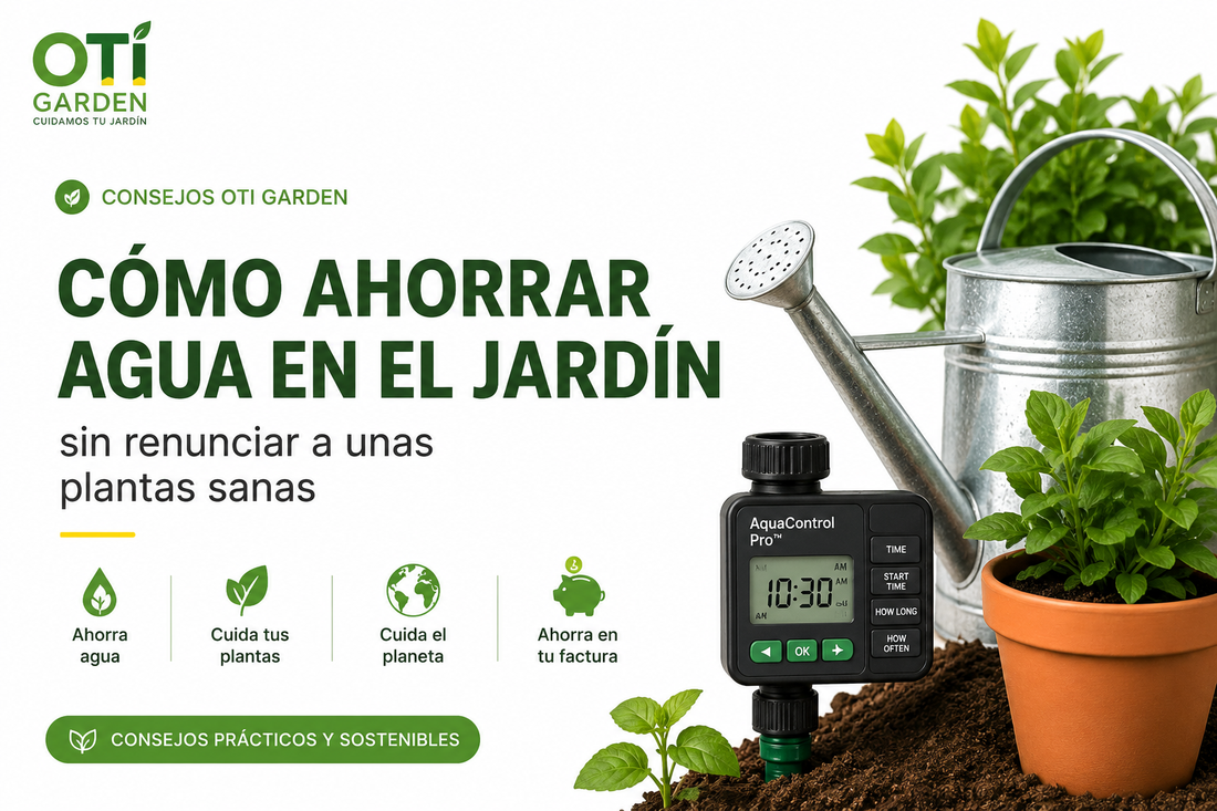 Cómo ahorrar agua en el jardín sin renunciar a unas plantas sanas