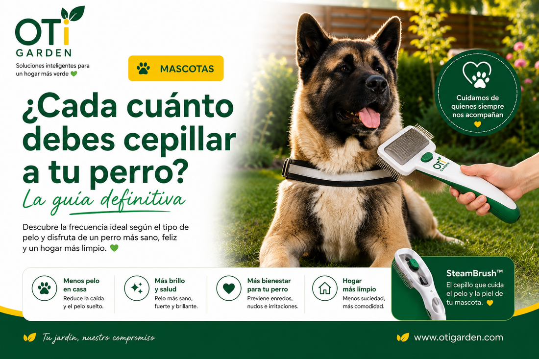 🐶 ¿Cada cuánto debes cepillar a tu perro? La guía definitiva