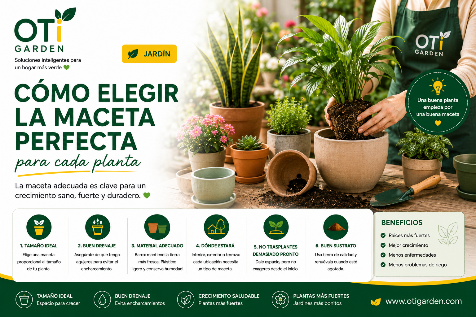 🪴 Cómo elegir la maceta perfecta para cada planta