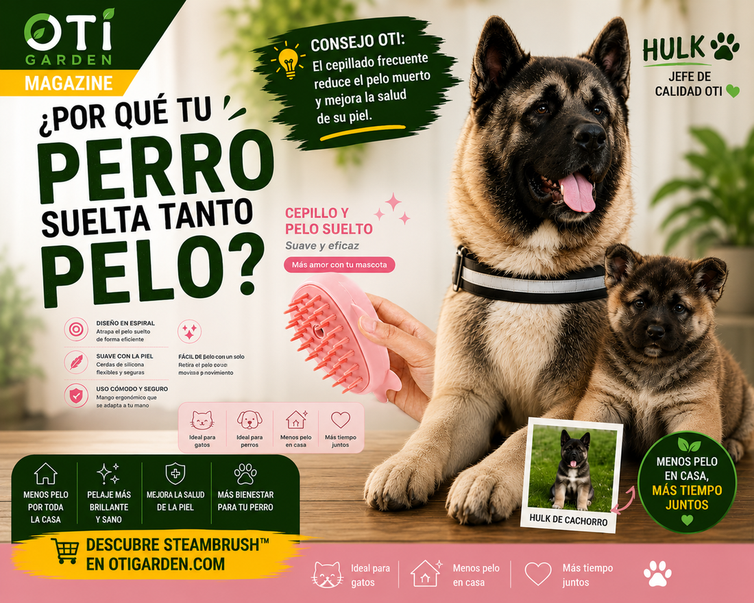 ¿Por qué tu perro suelta tanto pelo? La respuesta puede sorprenderte