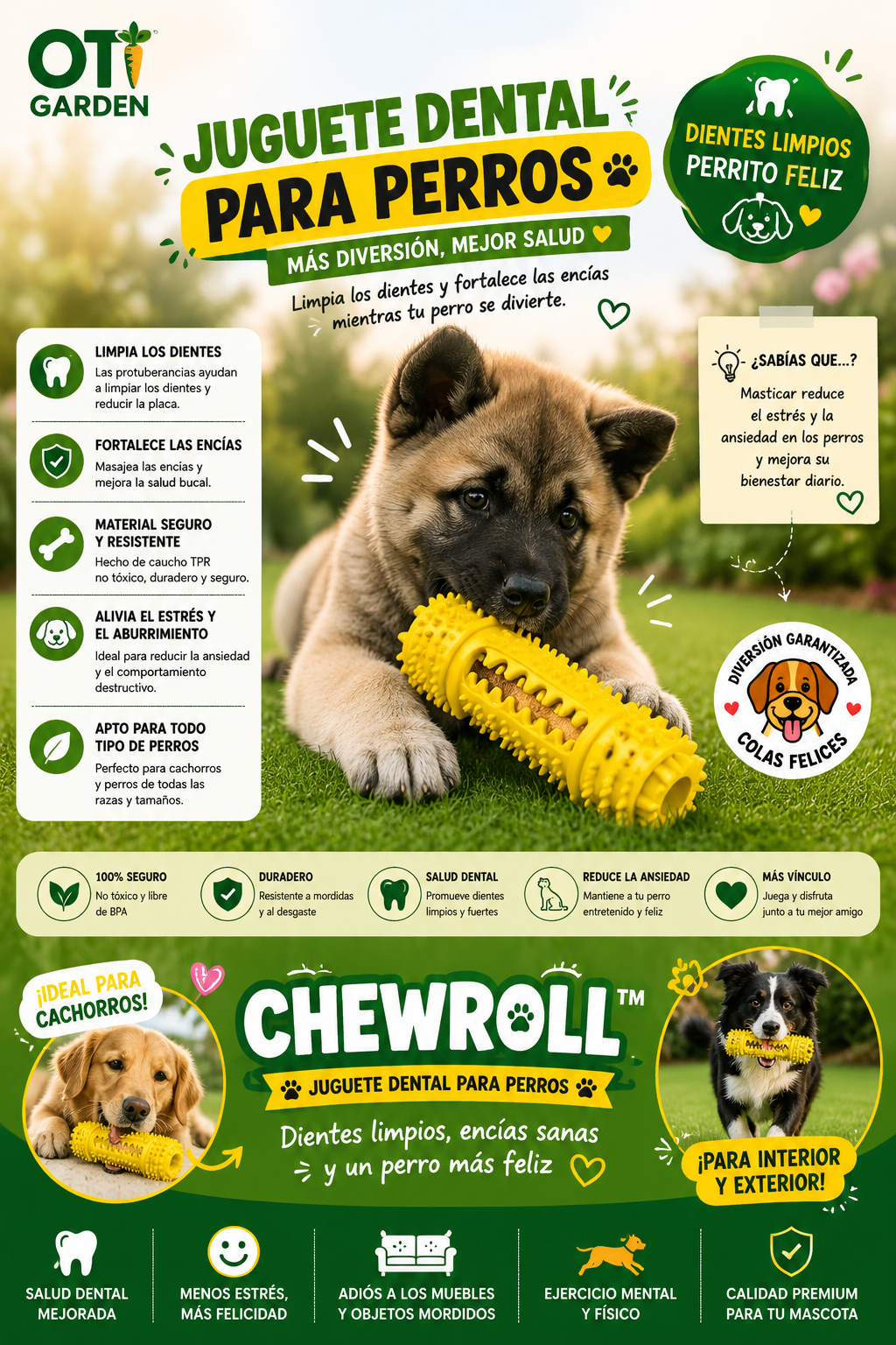 🐶🦷 ¿Tu perro muerde todo? Descubre cómo convertir ese hábito en algo saludable